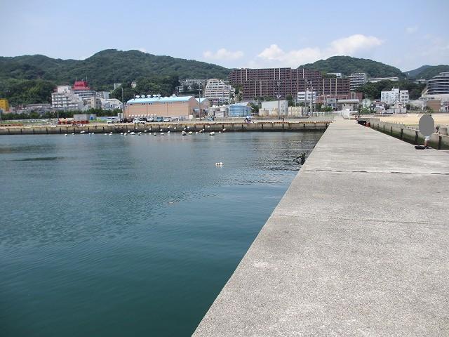 e11須磨浦漁港